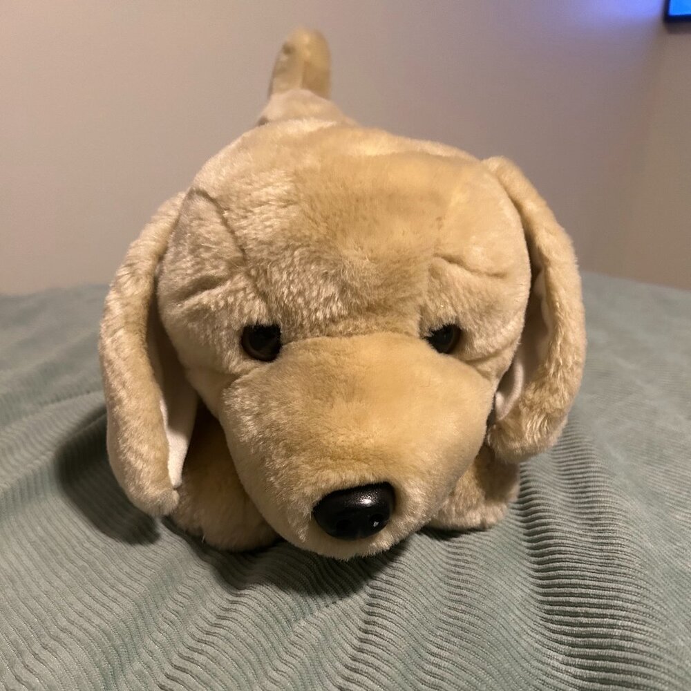 Stuffed Dog